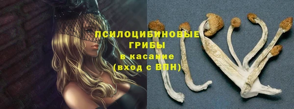 spice Алексеевка