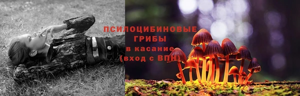 метадон Алзамай